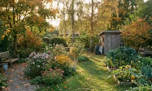 En lummig trädgård i september med höstfärger och en sista september blomma som blommar. En träbänk och ett litet förråd syns.