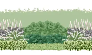 En lummig plantering med perenner i skugga, som hosta och hjärtbergenia, med höga spiror av blommor.