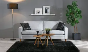 Ett stilrent grått och beige vardagsrum med en ljus soffa, svarta kuddar, träbord och en stor grön växt.