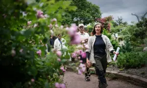 En grupp människor promenerar i en vacker trädgård med rosor i förgrunden. En kvinna leder vägen, kanske på rosens dag.