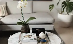 En vit orkidé i en mörk vas, böcker och en svart ask pryder soffbordet. En vacker inspiration för att styla soffbord.