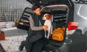 Man and dog sitting in the open trunk of a car with a dog crate and luggage.