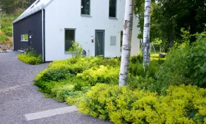 Marika Delin njuter av sin vackra trädgård med ett modernt hus, grusgång och frodig grönska.