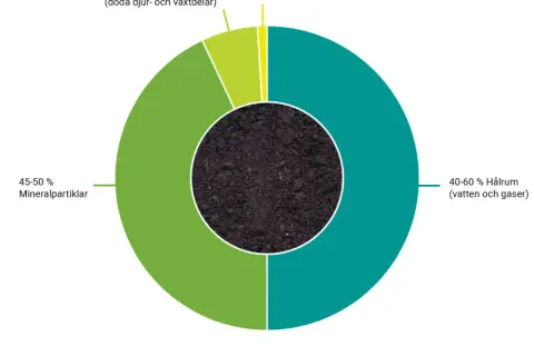 Diagram som visar olika jordlager: 45-50% mineralpartiklar, 40-60% hålrum (vatten och gaser), <6% organiskt material och <1% levande organismer.