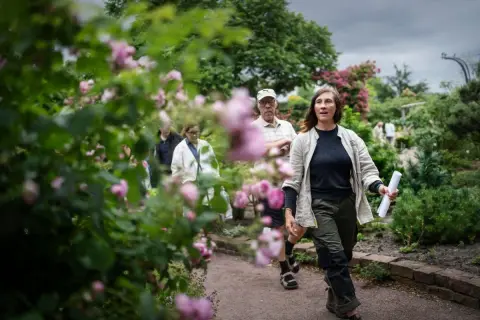 En grupp människor promenerar i en vacker trädgård med rosor i förgrunden. En kvinna leder vägen, kanske på rosens dag.