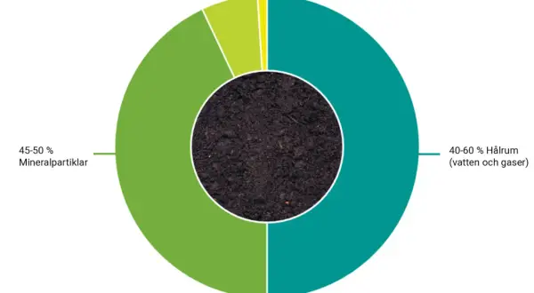 Diagram som visar olika jordlager: 45-50% mineralpartiklar, 40-60% hålrum (vatten och gaser), <6% organiskt material och <1% levande organismer.