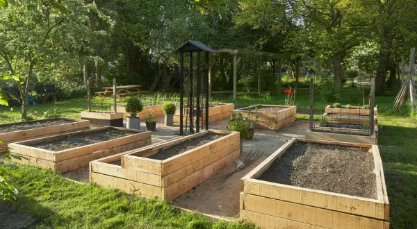 Wooden raised garden beds filled with soil and young plants, set in a sunny garden.