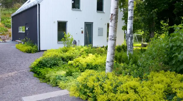 Marika Delin njuter av sin vackra trädgård med ett modernt hus, grusgång och frodig grönska.