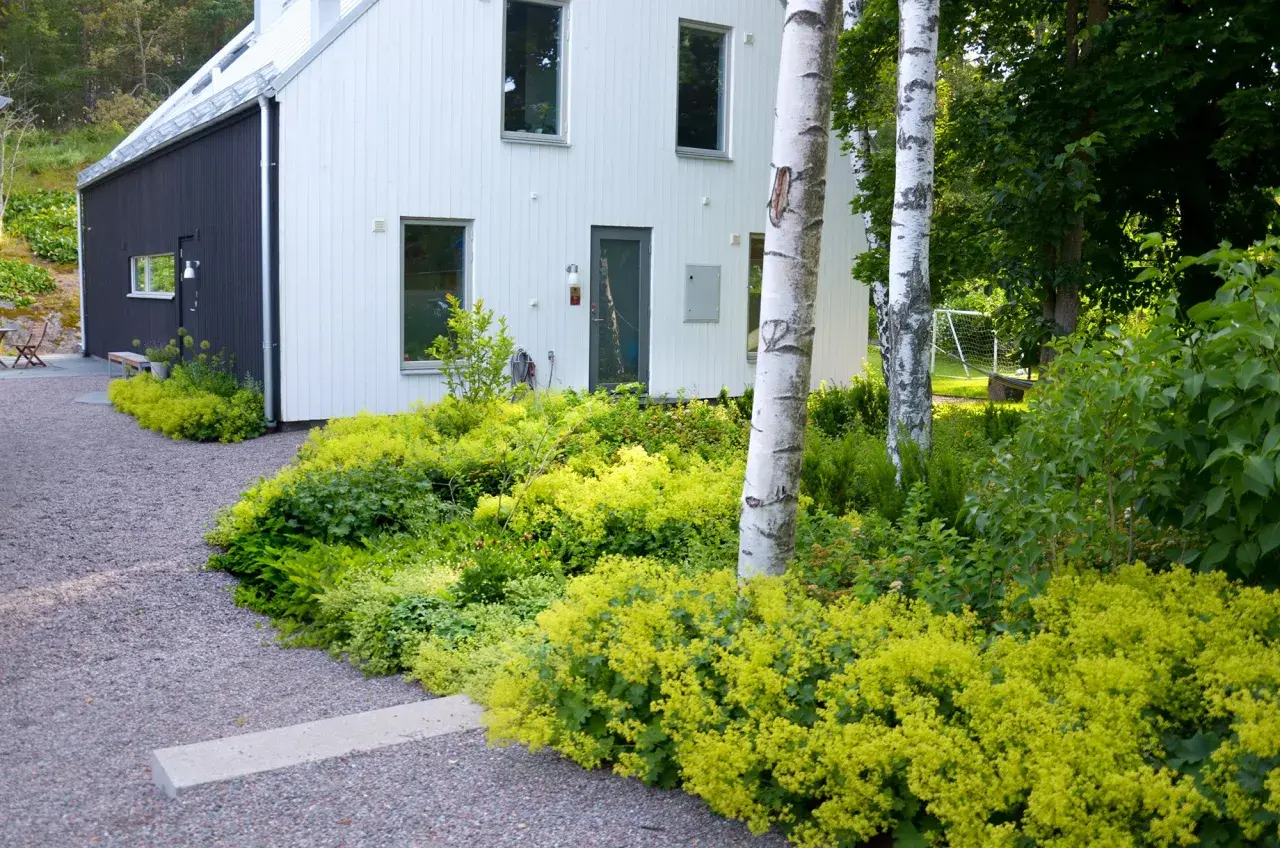 Marika Delin njuter av sin vackra trädgård med ett modernt hus, grusgång och frodig grönska.