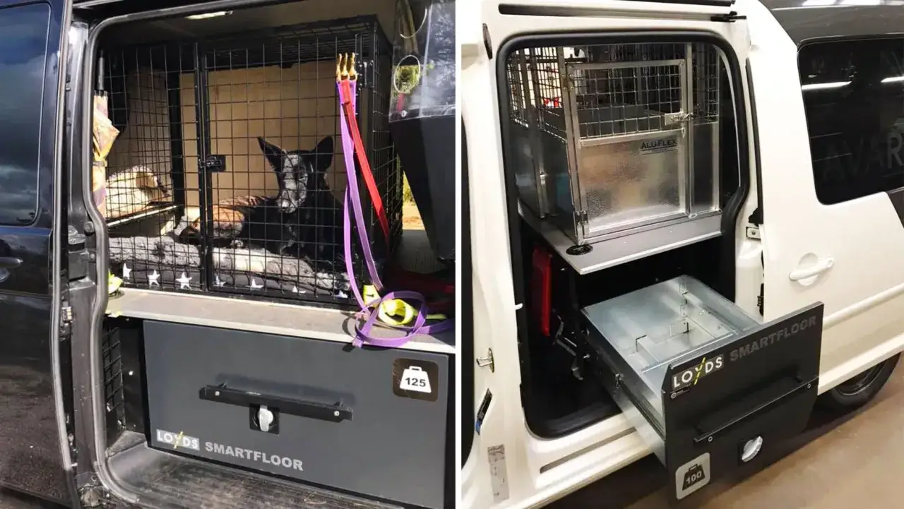 Hundbur i sk&aring;pbil med smarta f&ouml;rvaringsl&aring;dor. En hund vilar i buren p&aring; en stj&auml;rnm&ouml;nstrad b&auml;dd.