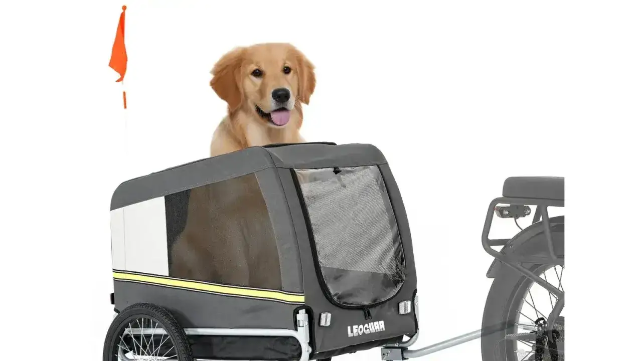 Glad golden retriever vilar i en cykelvagn, redo f&ouml;r &auml;ventyr med sin Thule Courier.