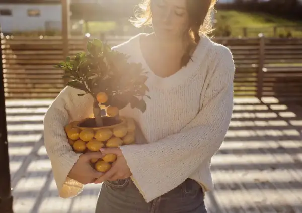 En kvinna håller en krukväxt med små citrusfrukter, en Citrus limon medica, i en kruka formad som citroner.