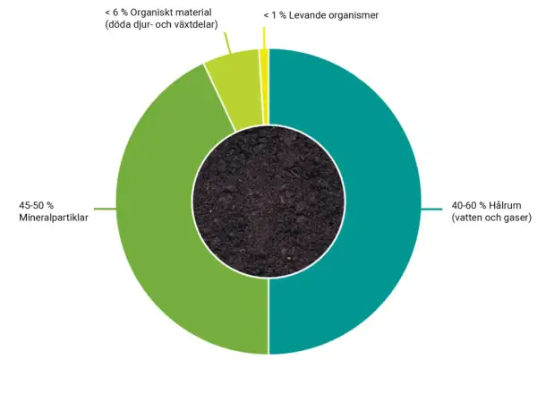Diagram som visar olika jordlager: 45-50% mineralpartiklar, 40-60% hålrum (vatten och gaser), <6% organiskt material och <1% levande organismer.