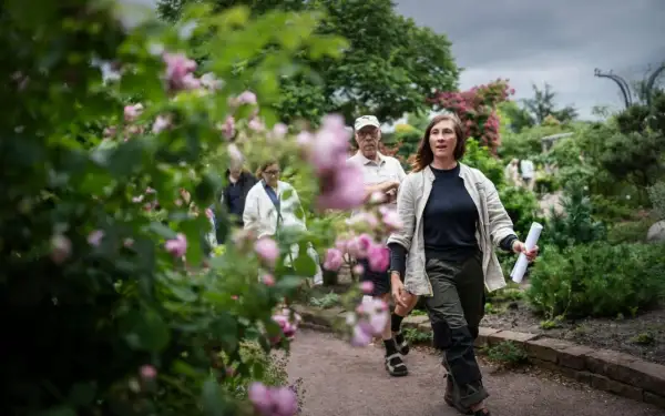 En grupp människor promenerar i en vacker trädgård med rosor i förgrunden. En kvinna leder vägen, kanske på rosens dag.